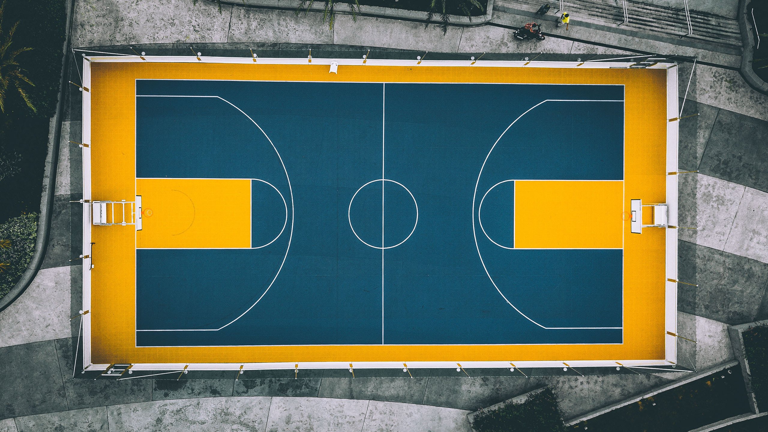 C组天王山变一边倒!哥伦比亚3-0横扫捷克,费利克斯用大师级表现宣告,世界杯,我来了!